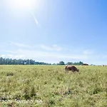 Akivillas Nature